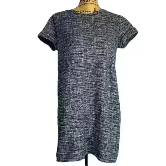 Rachel Zoe Short Sleeve Mini Shift dress - Picture 1 of 7